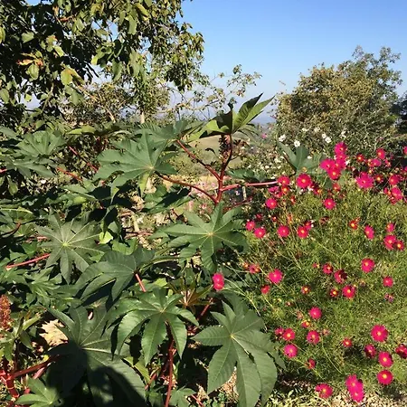 Cascina Montebi Casa de hóspedes *